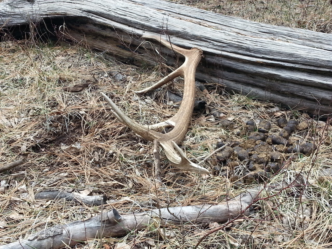 20140405_130251.jpg