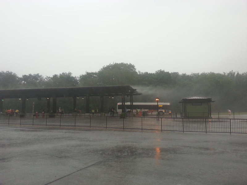 20140429_173954.jpg
