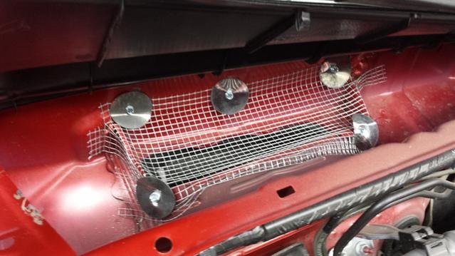 20140503_124101.jpg