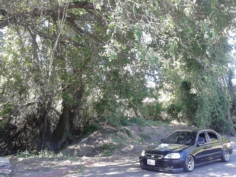 20140512_092539_resized...jpg
