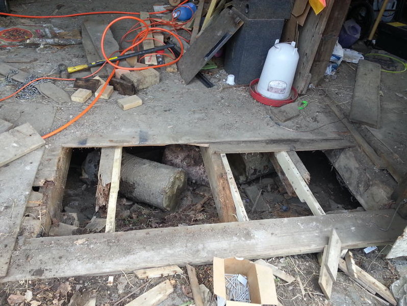 20140517_115603.jpg