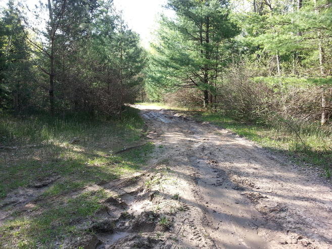 20140526_091659.jpg