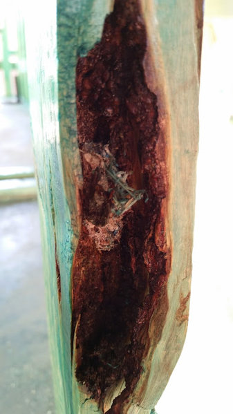 20140531_181747.jpg