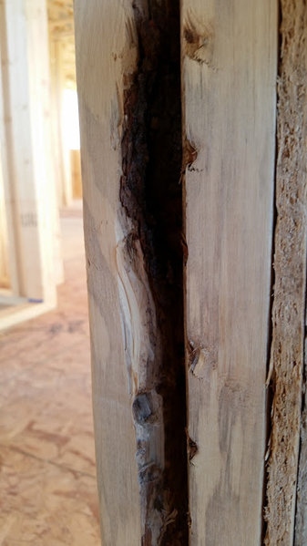 20140531_183334.jpg