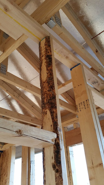 20140531_183421.jpg