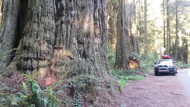 20140617_081940.jpg