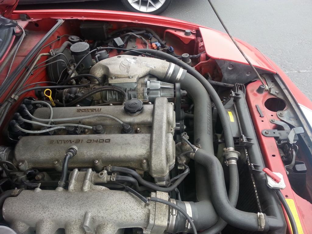20140622_174051_zps89ddd1d4.jpg
