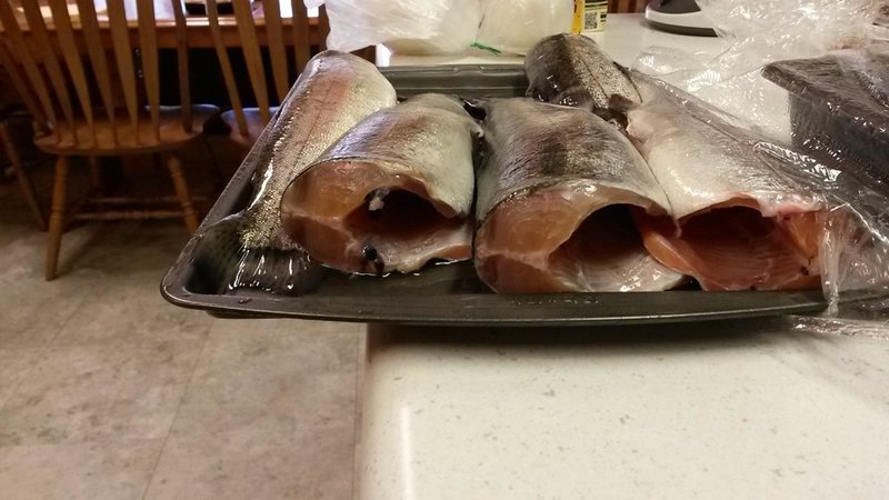 20140627_164428.jpg