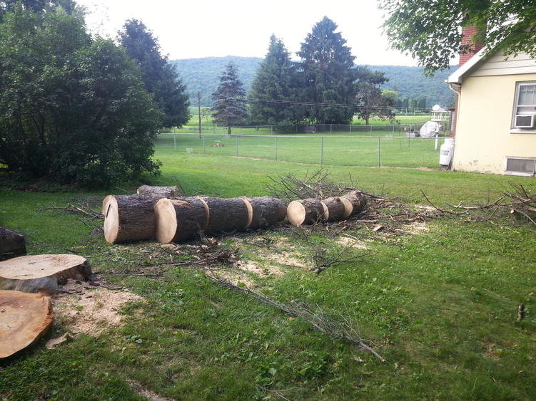 20140630_082412.jpg