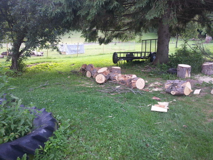 20140630_082538.jpg