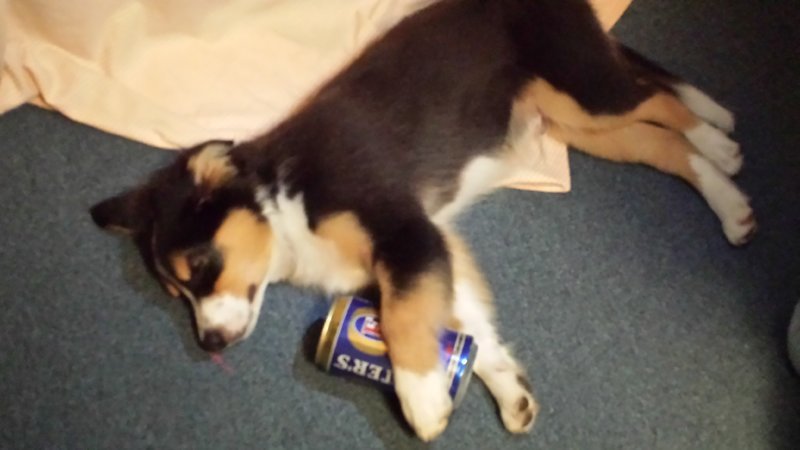 20140705_212911.jpg