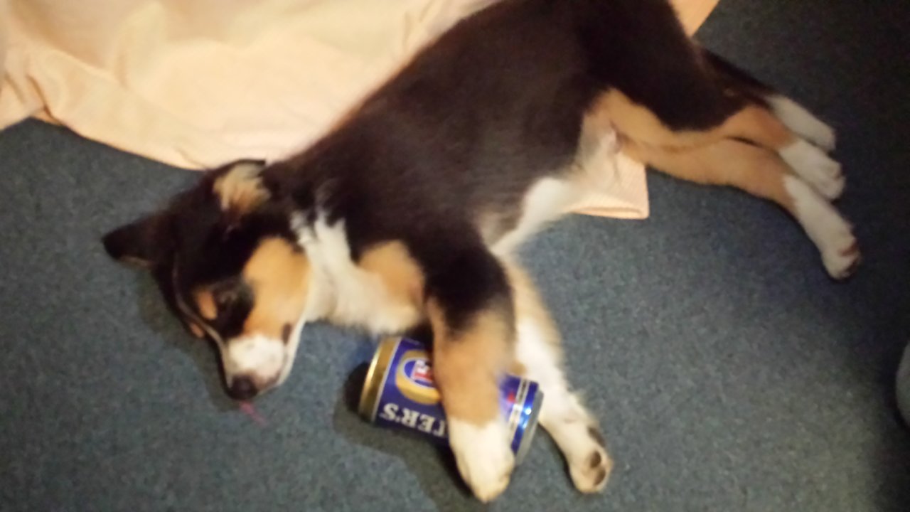 20140705_212911.jpg