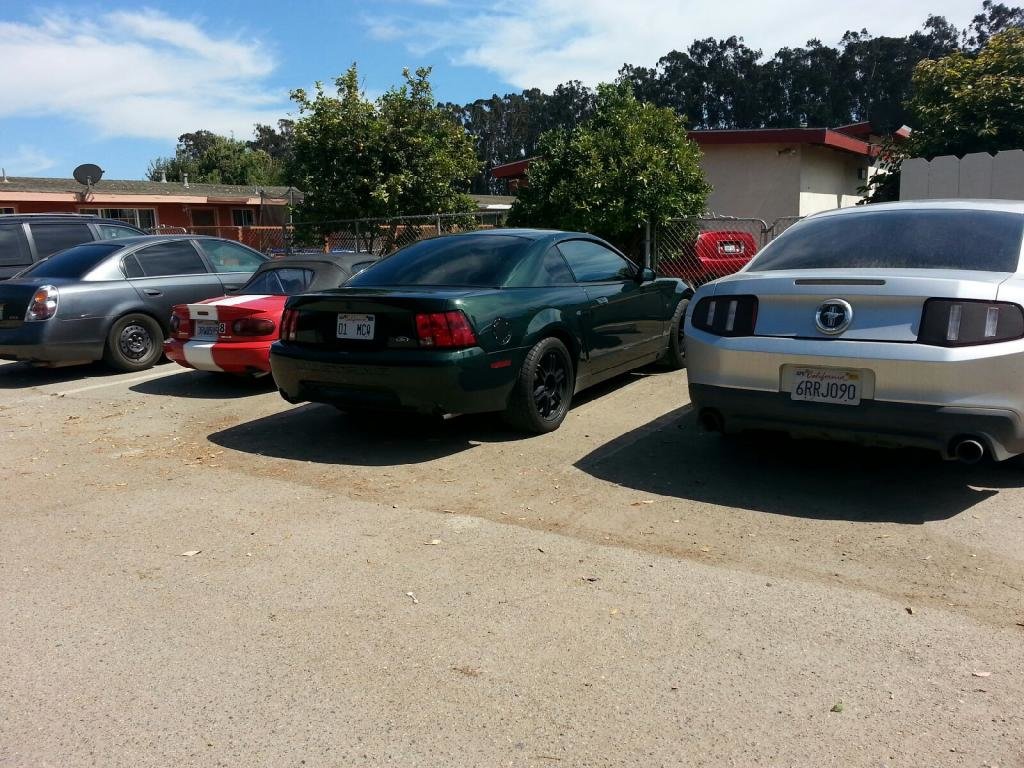 20140717_154112_zps4731f117.jpg