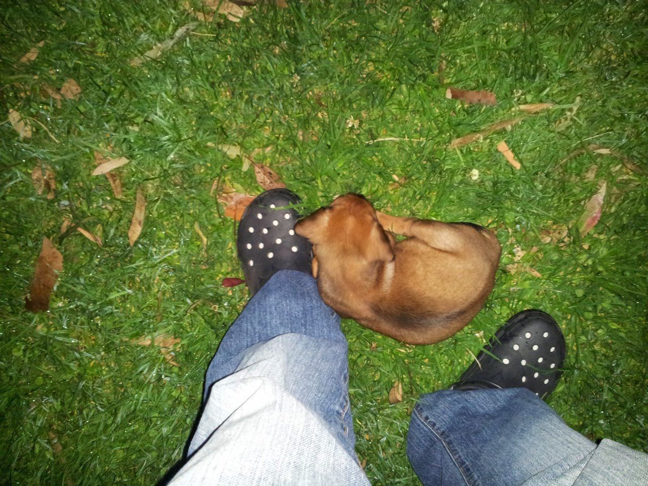 20140719_234255.jpg
