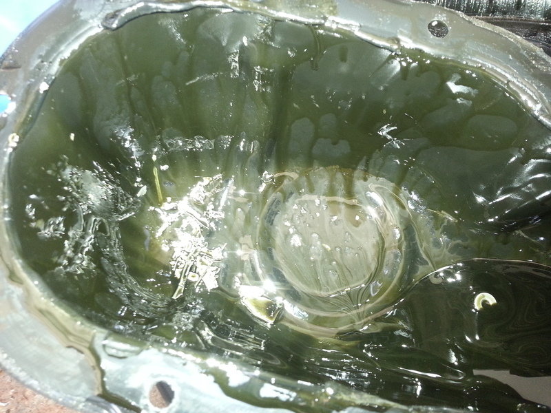 20140720_145958_zpsaxaimy17.jpg