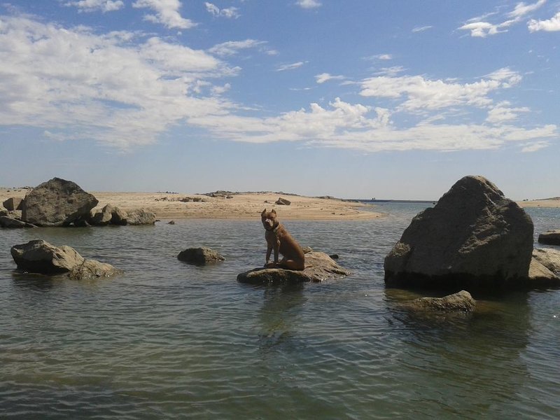 20140729_151906.jpg