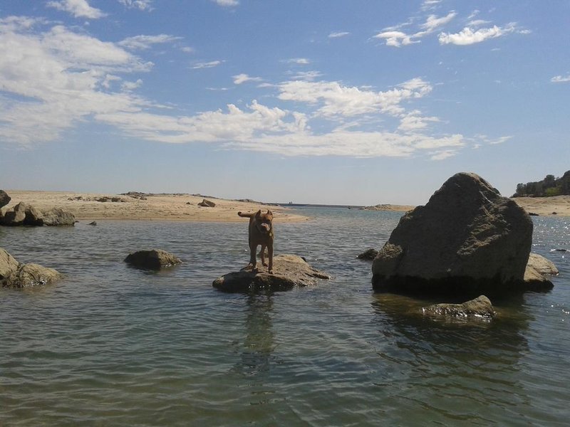 20140729_151921.jpg