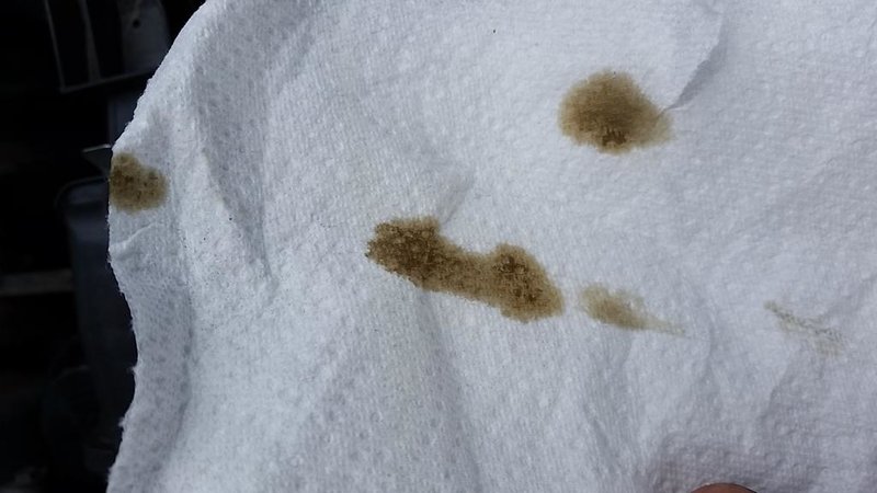 20140803_141019.jpg