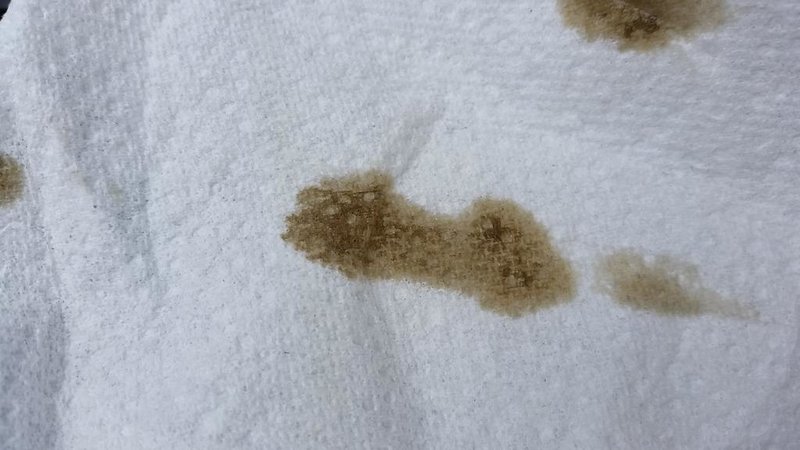 20140803_141024.jpg