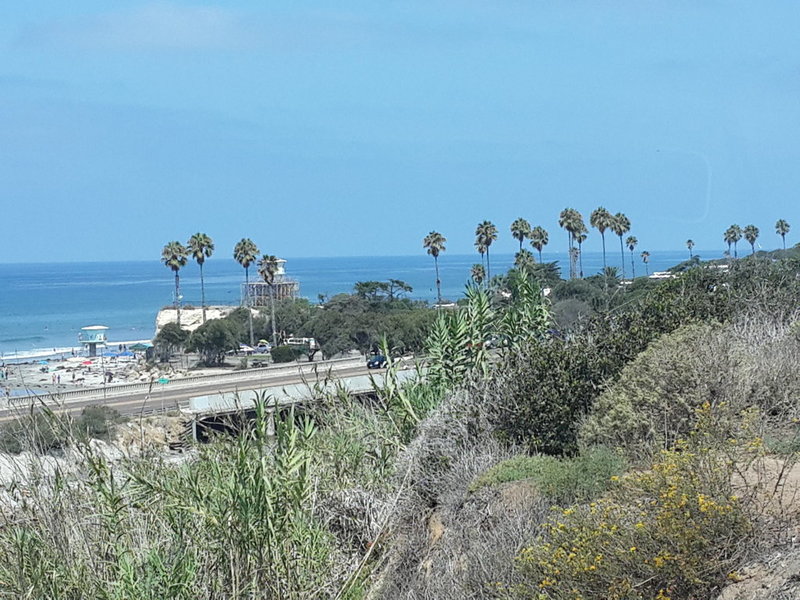 20140810_105729.jpg