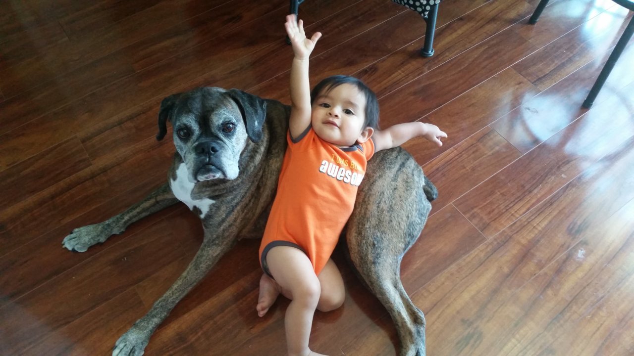 20140814_140038.jpg