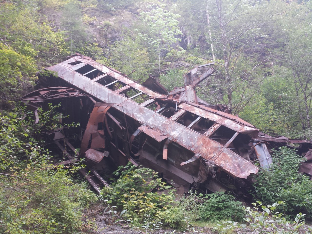 20140816_143956.jpg
