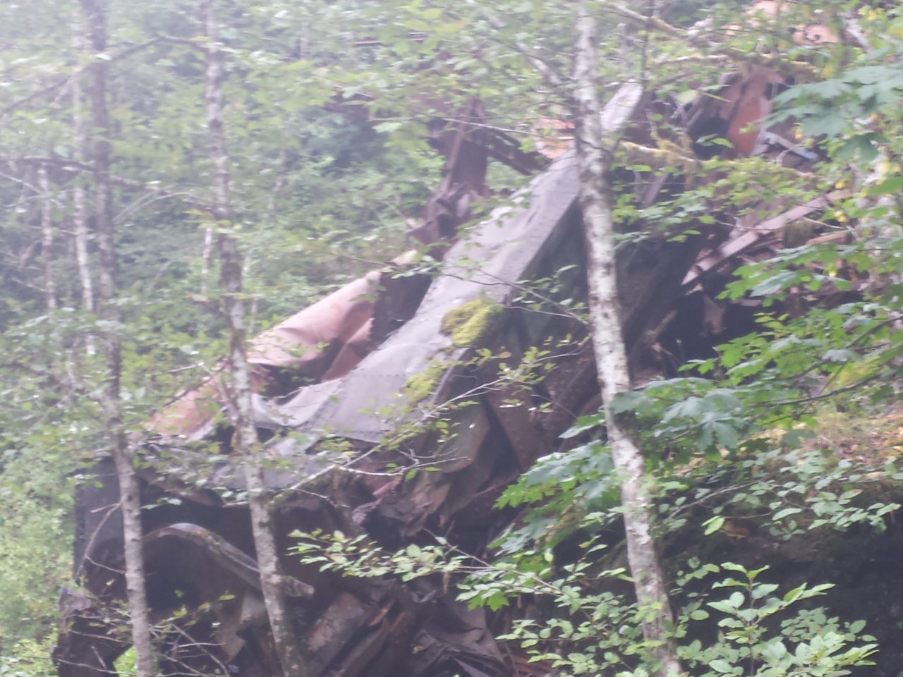 20140816_144432.jpg