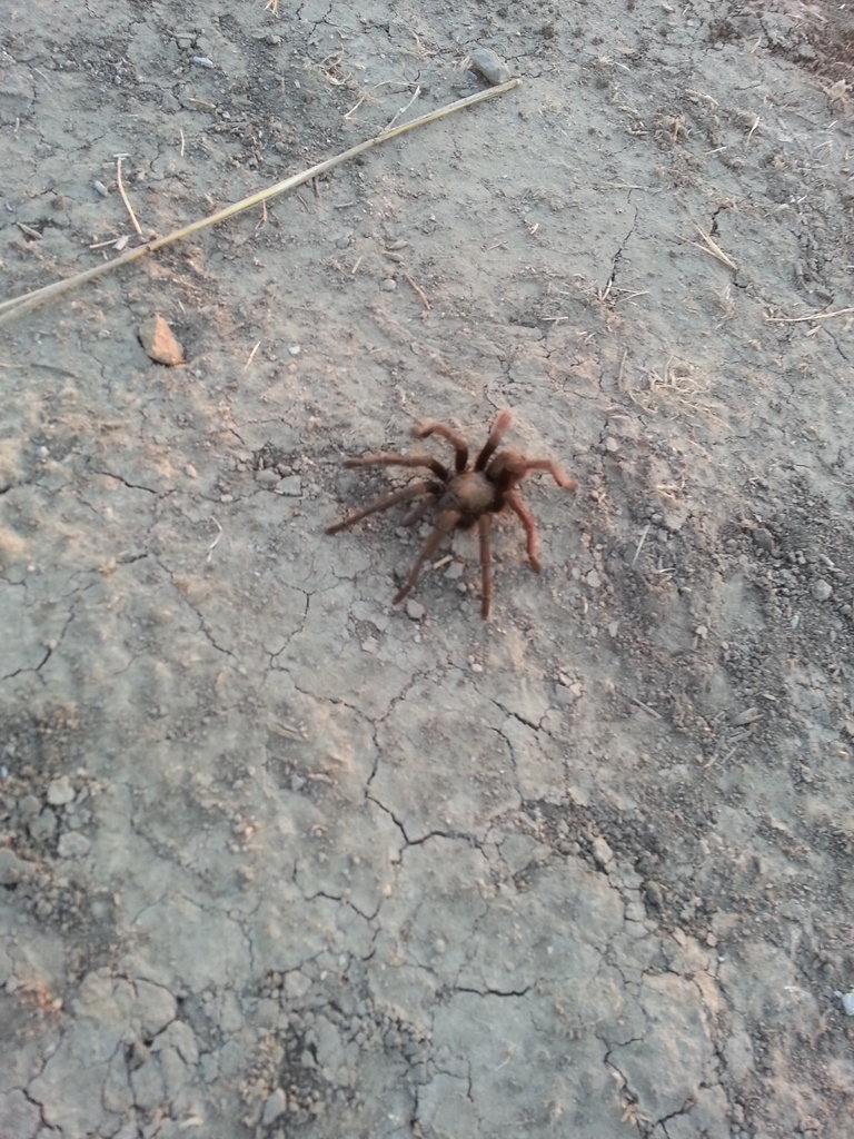 20140910_185315.jpg