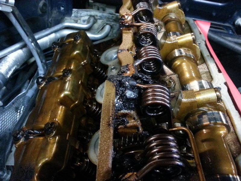 20141002_094733.jpg