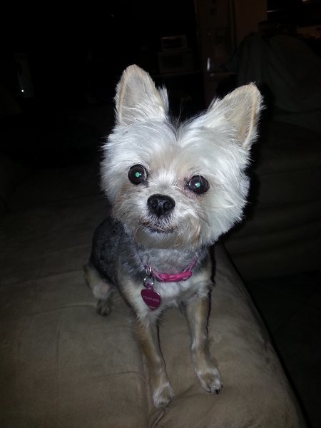 20141004_214427.jpg