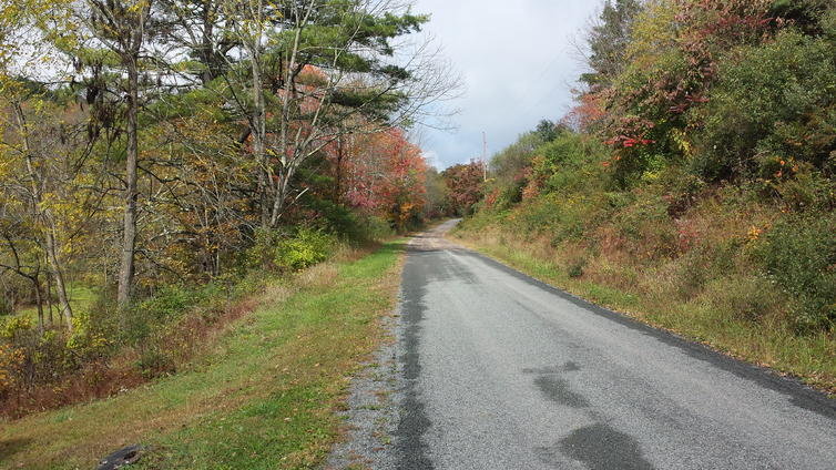 20141011_115429.jpg