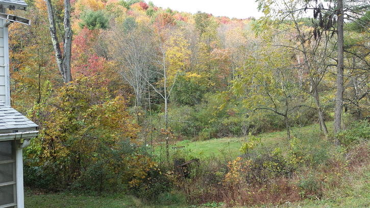 20141011_115447.jpg