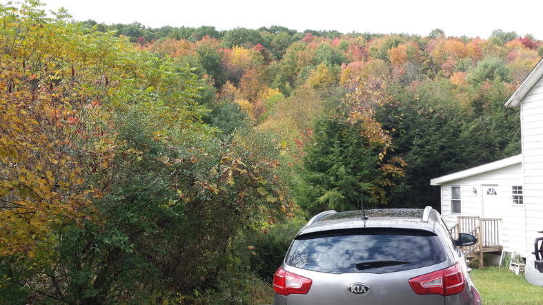 20141011_115524.jpg