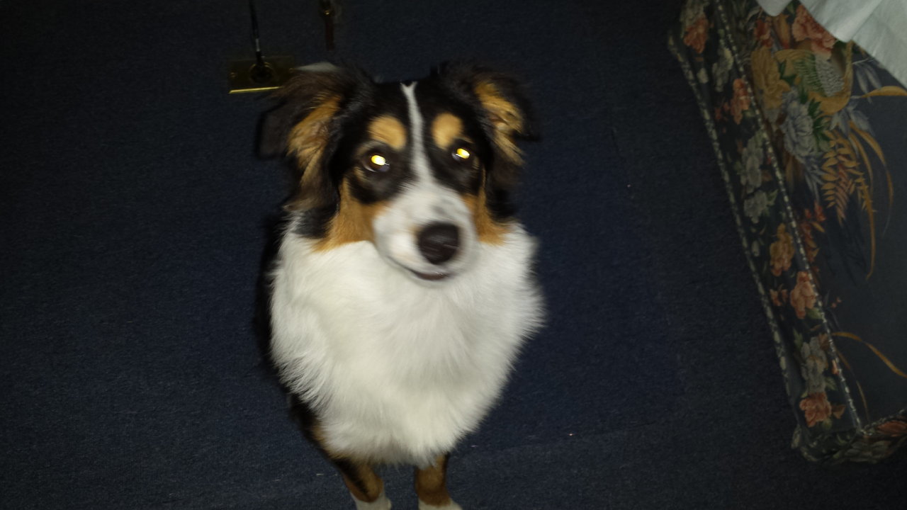 20141011_173451.jpg