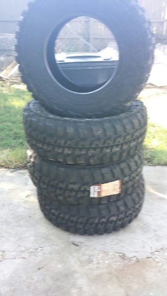 20141016_101146.jpg