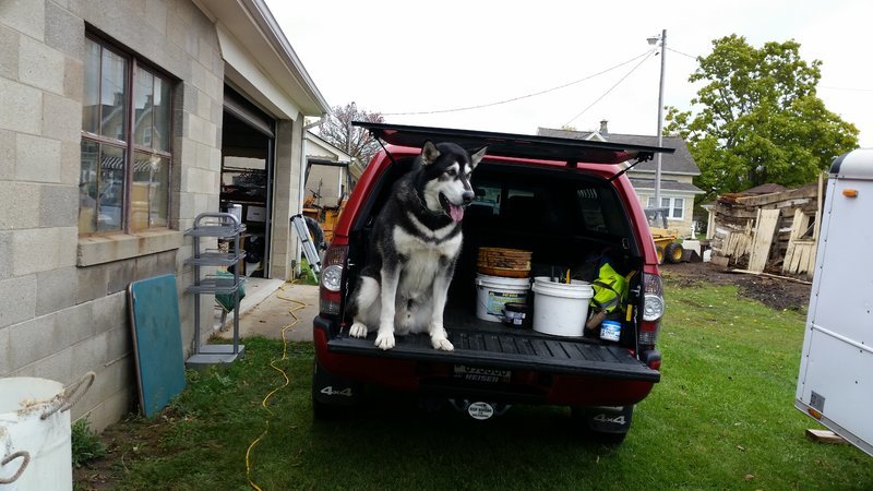 20141018_114036.jpg