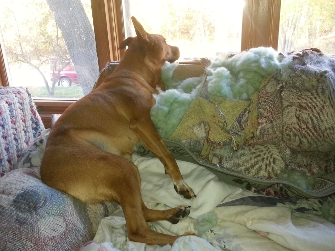20141026_084525.jpg
