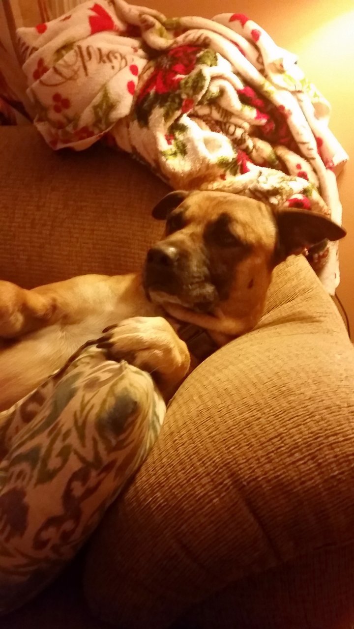 20141101_193606.jpg