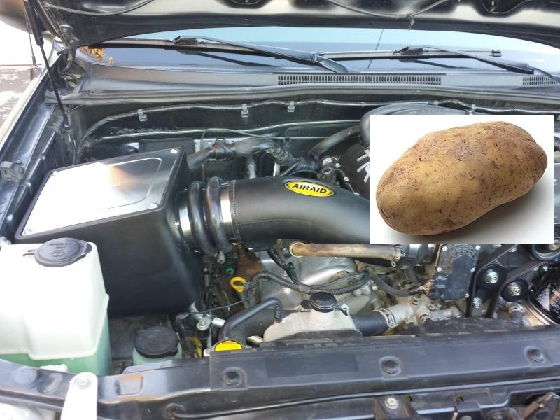 20141105_070357_zpshrcocep4.jpg