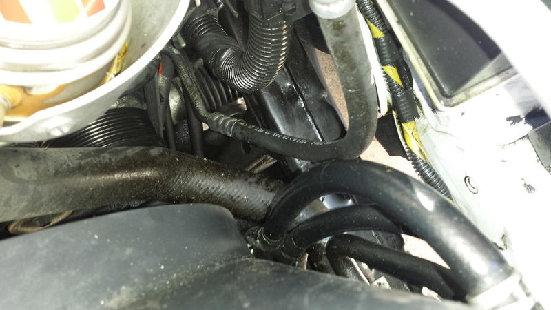 20141107_120745.jpg