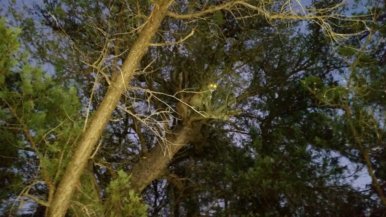 20141110_174638.jpg