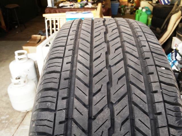 20141119_073301.jpg