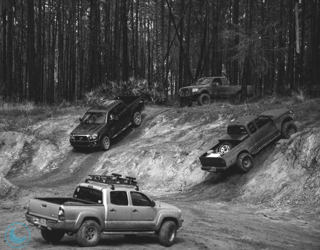 2014TWCitrusMeet-35-X2_b45f92e272ebbb8b8390e052477f3f6610313865.jpg