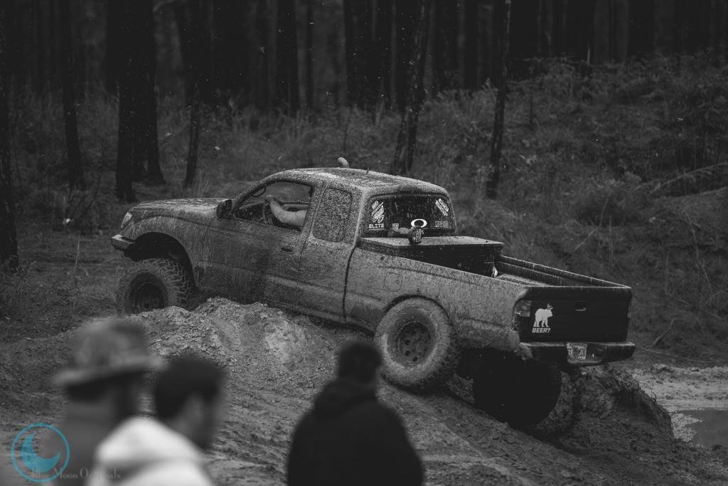 2014TWCitrusMeet-36-X3_86bc31c6da799bb085f7a88fca29ee6963af23d0.jpg
