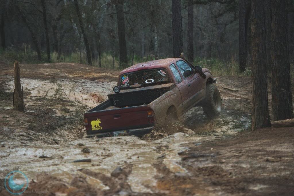 2014TWCitrusMeet-69-X3_a133b9d3f9dbbf46b2858e7b88db3dc922fe3c0f.jpg