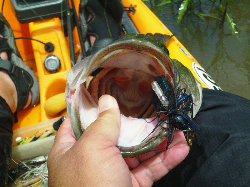 2015-07-04%205lb%20lmb%20SM1_zpsf1v4rzm7_1f338d8d92a113b4769f6e280c2eb1cf7f11641f.jpg
