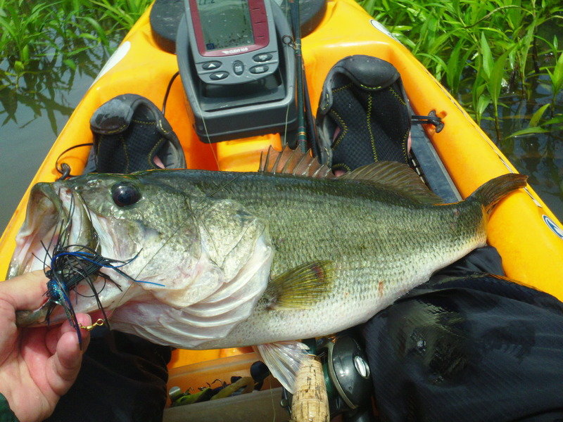 2015-07-04%205lb%20lmb%20SM2_zpsikmsvyyo_f5ce85b965593c9233c244e6ca3e3a321c5c510a.jpg