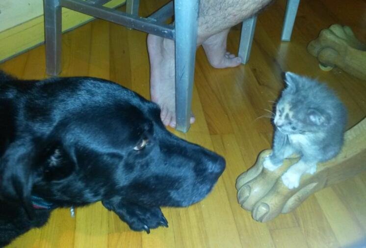 2015-08-31_20.20.21.jpg