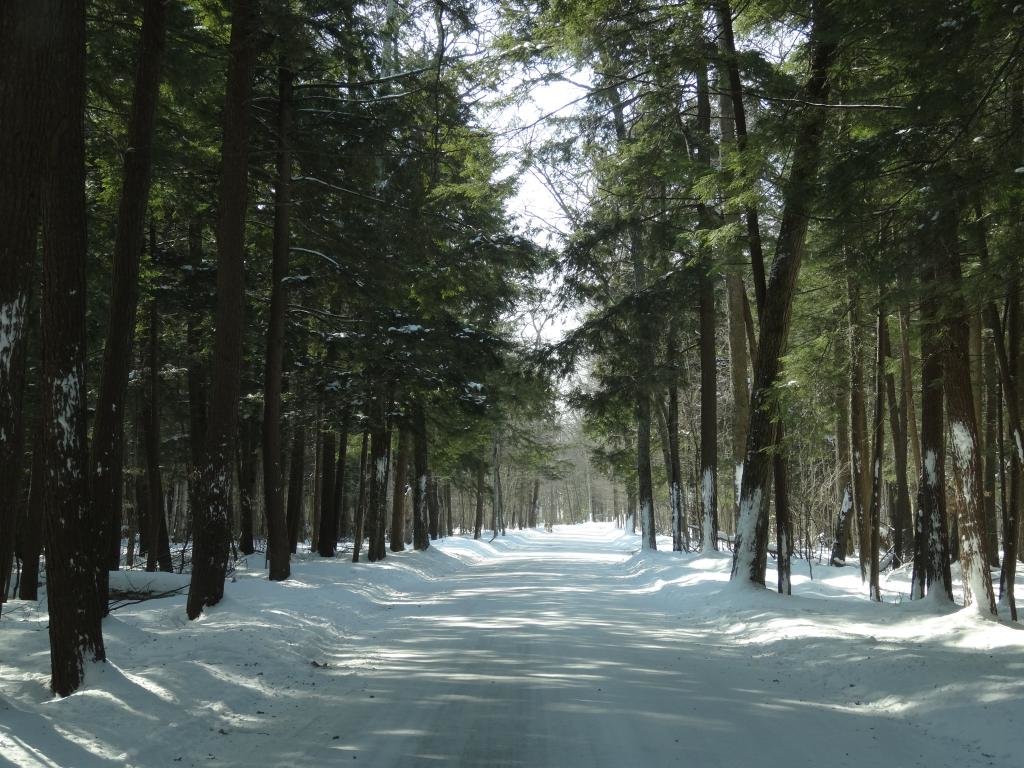 2015%20Mackinaw%20238_zpsseoxcd5e_b95c84e5e3d0a03c838fde8f8258accb3a3eebb7.jpg