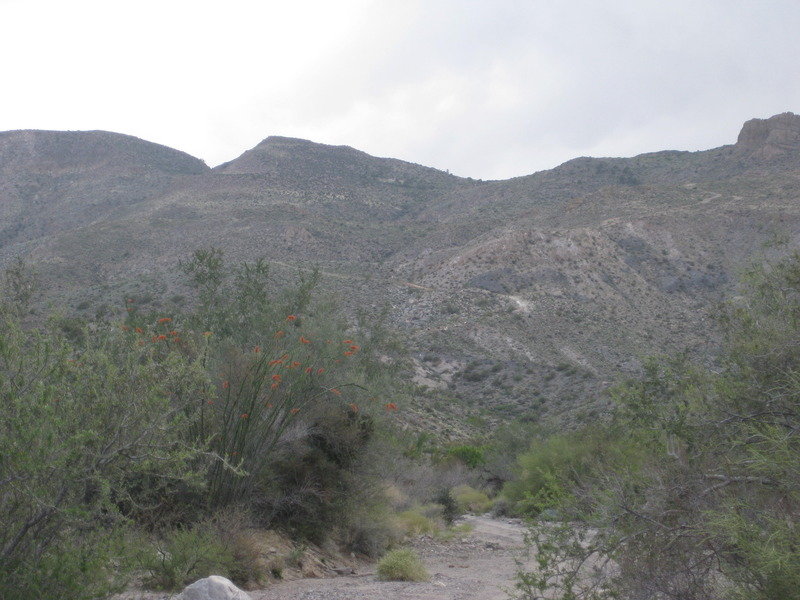 2015-4%20Baja%20022_dc1a2e59005d6fa82ee6ee44d8b14d596c8b2b22.jpg